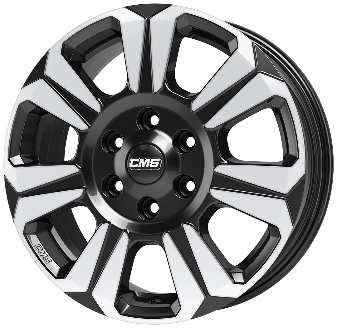 CMS C31